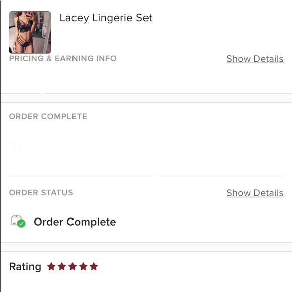 Lacey Lingerie Set - Picture 6 of 6